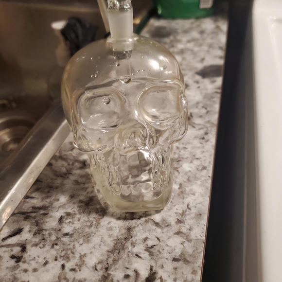 Skull - Picture 2 of 3